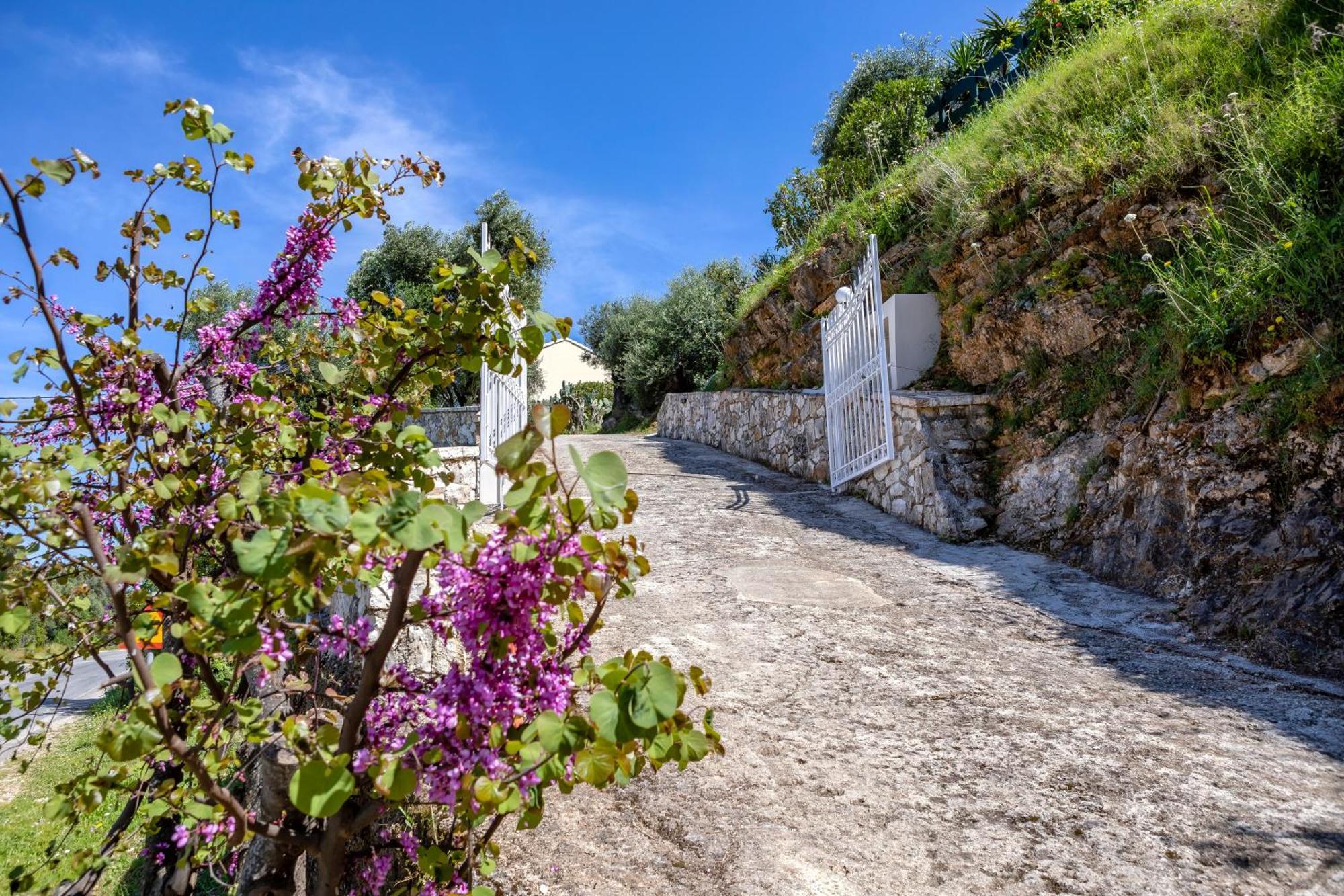 Alisachni Apartments Απραός Εξωτερικό φωτογραφία