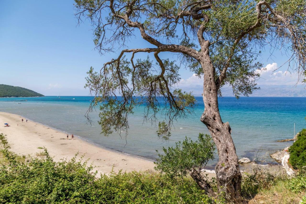 Alisachni Apartments Απραός Εξωτερικό φωτογραφία
